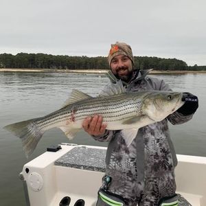 Meet your Posher, Timothy